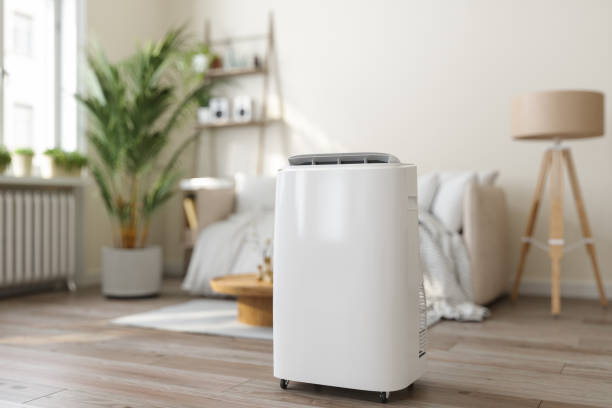 Best Ductless Mini-Split Systems in Woody, WA